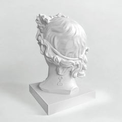 Apolo White. Escultura de cabeza. De la serie Apolo