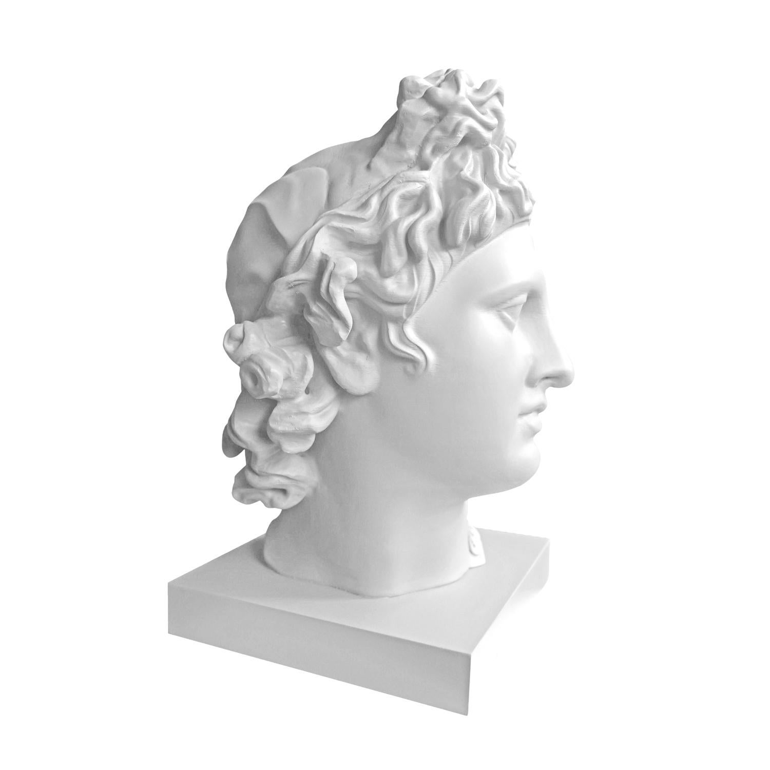 Apolo Whiting. Scultura della testa. Dalla serie Apolo in vendita 3