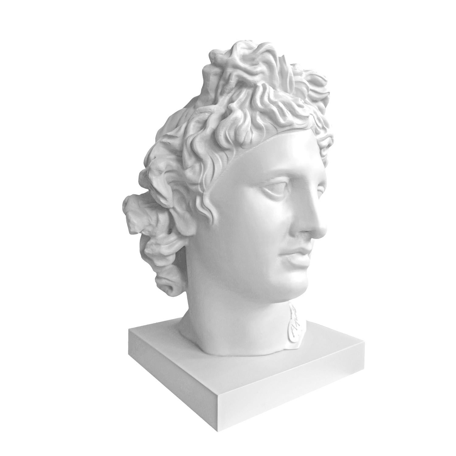 Apolo Whiting. Scultura della testa. Dalla serie Apolo in vendita 4