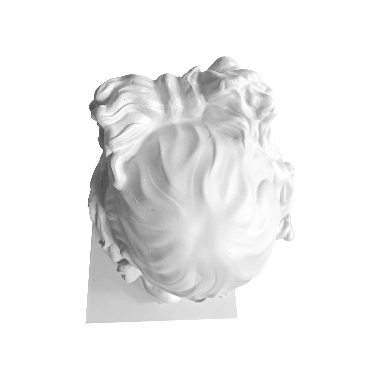 Apolo Whiting. Scultura della testa. Dalla serie Apolo in vendita 5