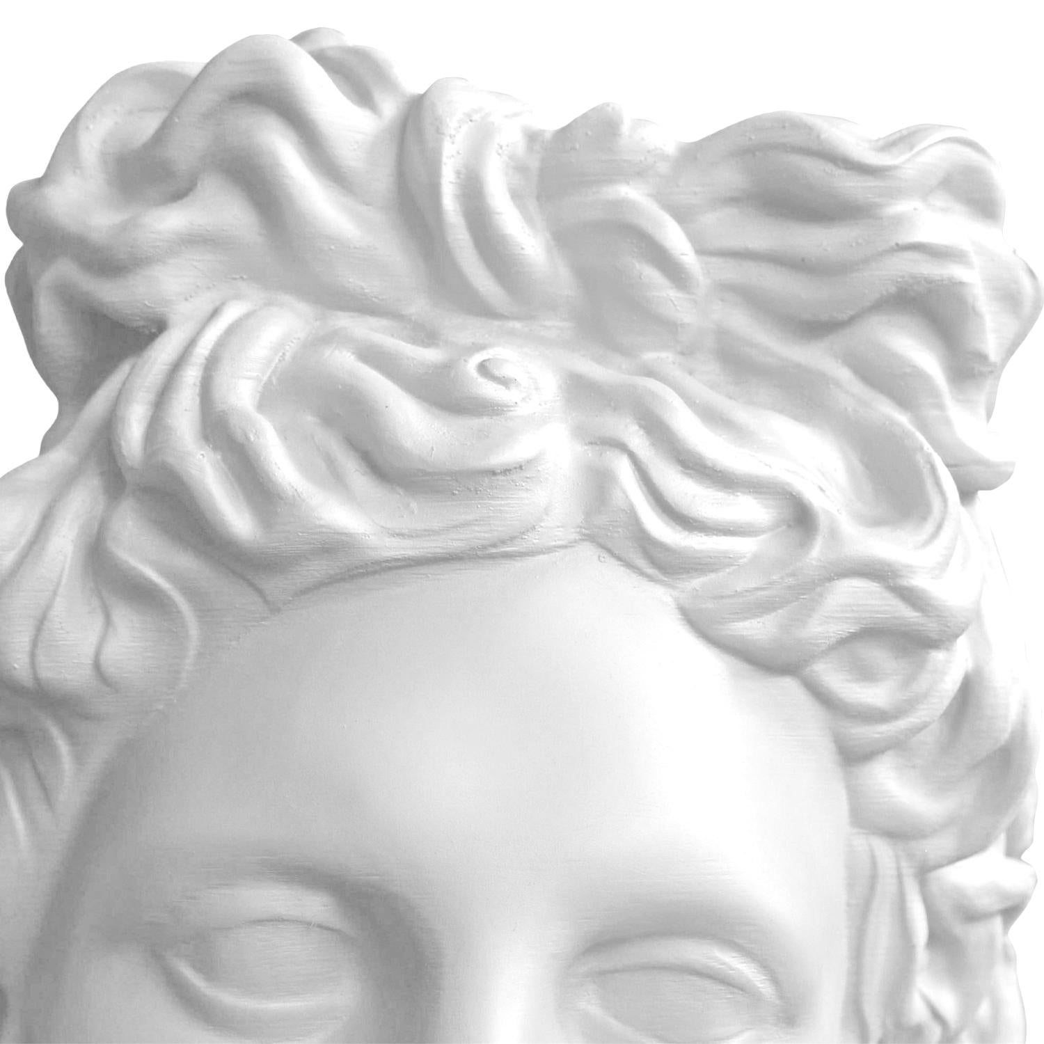 Apolo Whiting. Scultura della testa. Dalla serie Apolo in vendita 6
