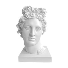 Apolo White. Head Sculpture. From the series Apolo