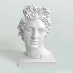 Apolo White. Escultura de cabeza. De la serie Apolo