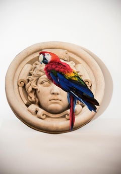 Wood Still-life Sculptures