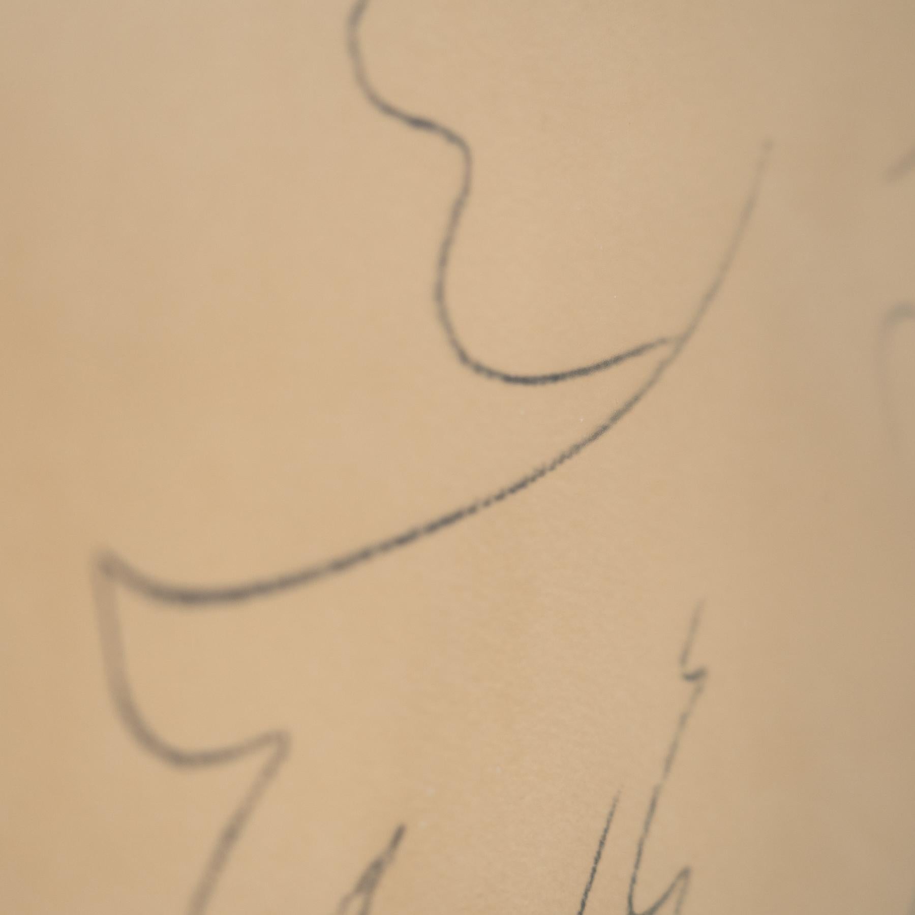 Paloma de la Paz (after) Pablo Picasso - Litografía enmarcada, 1970 en venta 4