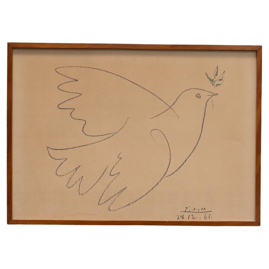 Paloma de la Paz (after Pablo Picasso) - Framed Lithography, 1970