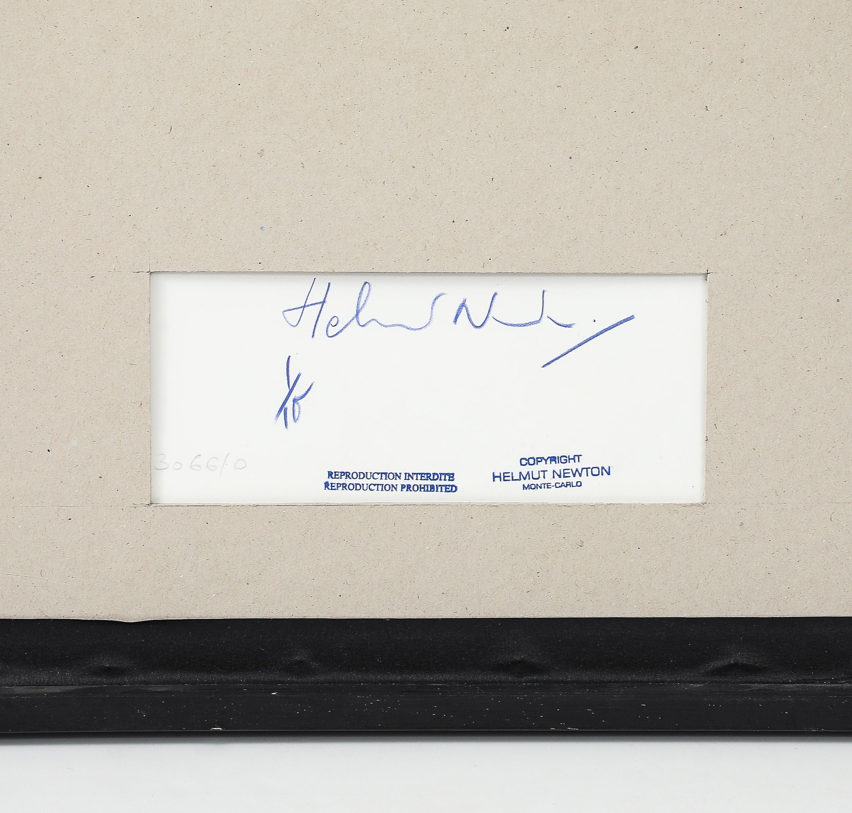 Paper Paloma Picasso In a Karl Lagerfeld Dress, Signed by Helmut Newton For Sale