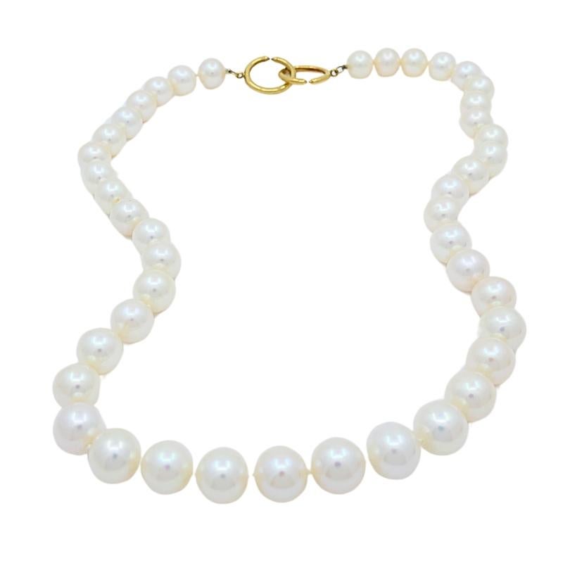 Women's Paloma Picasso Tiffany & Co. Pearl Necklace 18k Gold Clasp