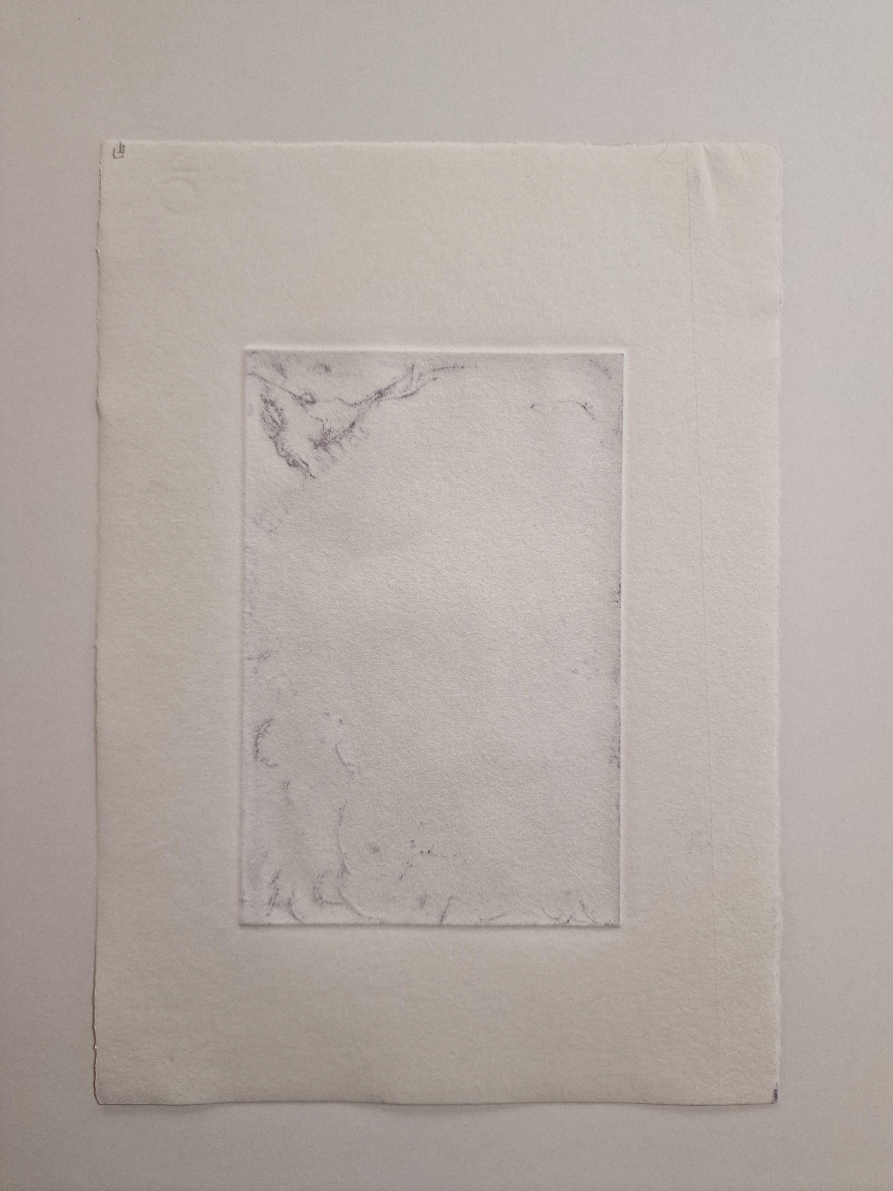 TORRES Paloma 
Née à Barcelone en 1993. 
Tarantula Nebula. 2022.
Photogravure (gélatine sur zinc).
Papier vélin crème. Tirage en mauve (encre Carbonne), numéroté et monogrammé au crayon, d’après les images du Télescope James Webb. Epreuve réalisée à