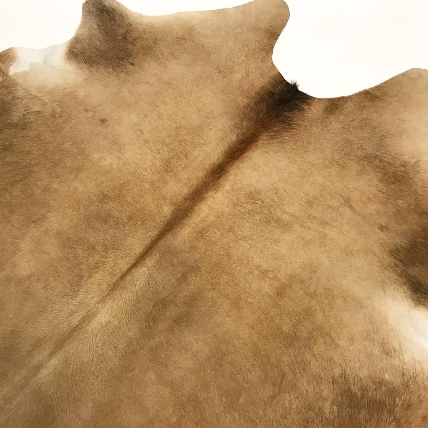 Cowhides are produced in many countries but it is universally known that the finest hair-on cowhides come from Brazil. Our cowhide rugs are produced in Brazil by one of the finest tanneries on earth. Using an expensive, time honoured tanning process