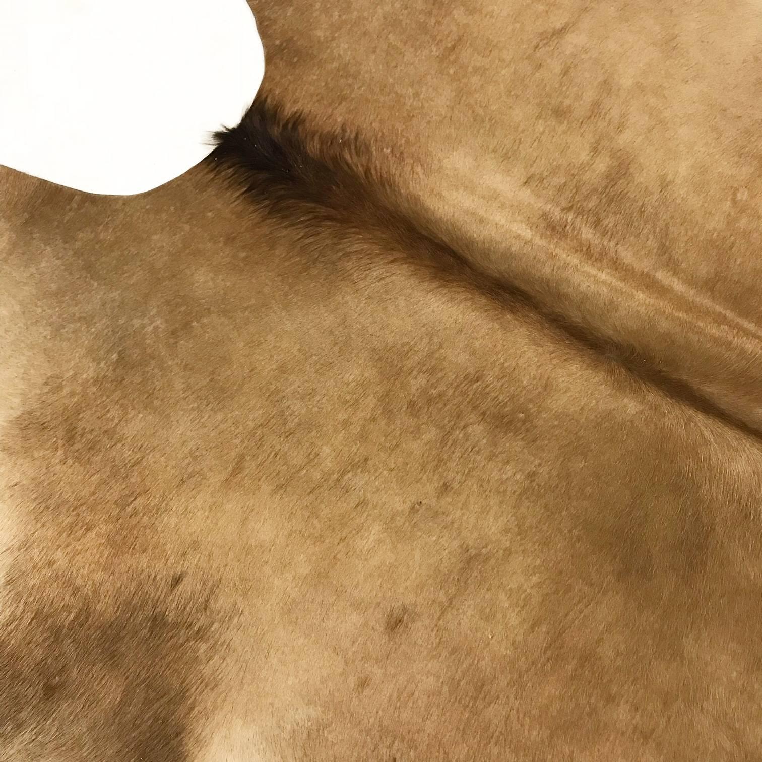 Palomino Brazilian Cowhide Rug In Excellent Condition In SAINT LOUIS, MO