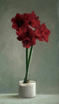 Amaryllis