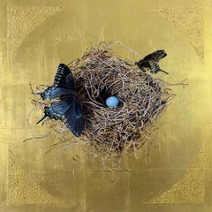 Nest: Schwarze Schwalbenschwanzschwanze von Pam Burnley-Schol, 2021, Ölgemälde auf Blattgold