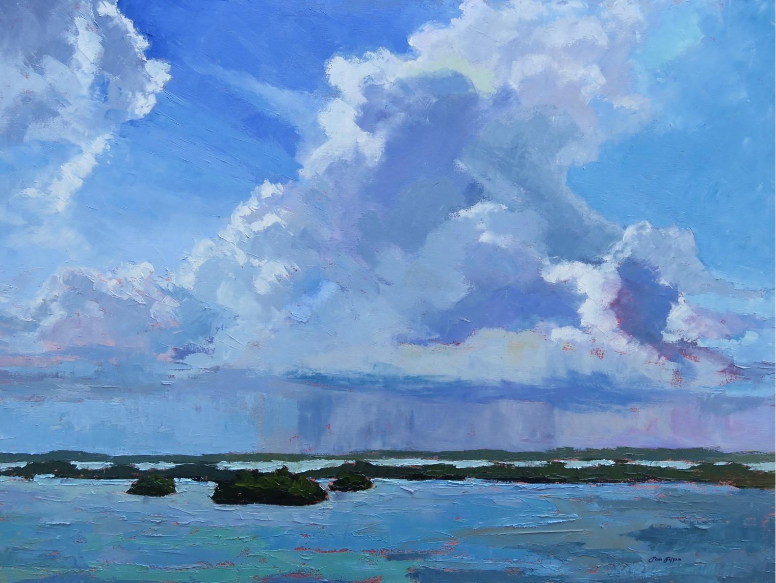 Pam Folsom Landscape Painting - Clouds Illusions