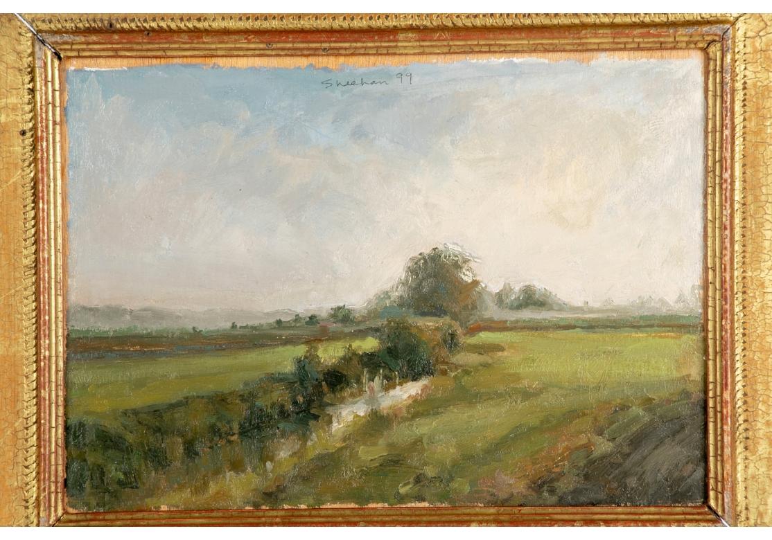 Bois Pam Sheehan (Am. B. 1956) Huile sur panneau de paysage intitulée, Waterway en vente