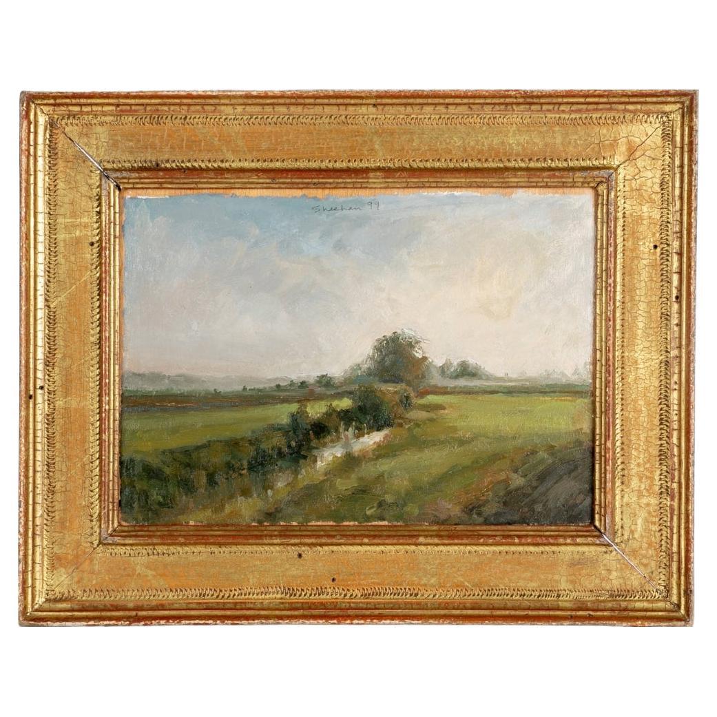 Pam Sheehan (Am. B. 1956) Paesaggio ad olio su pannello intitolato "Via d'acqua".