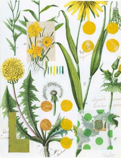 ContemporaryBotanical Series: Yellow Dandelion (Orig) & Giclee Print on Paper
