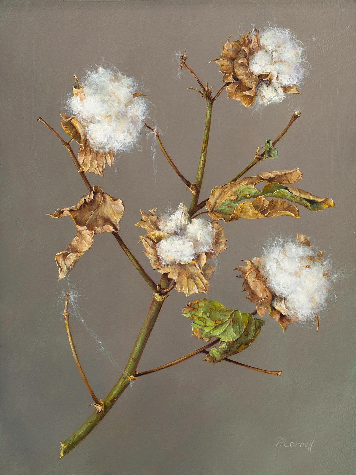 Pamela Carroll Cotton For Sale at 1stDibs