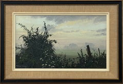 Hedgerow & Fields with Wild Flowers in an Overcast English Countryside Landscape