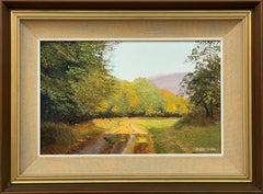 Sentiero di campagna illuminato dal sole, vegetazione rigogliosa, toni autunnali, paesaggio sereno di campagna