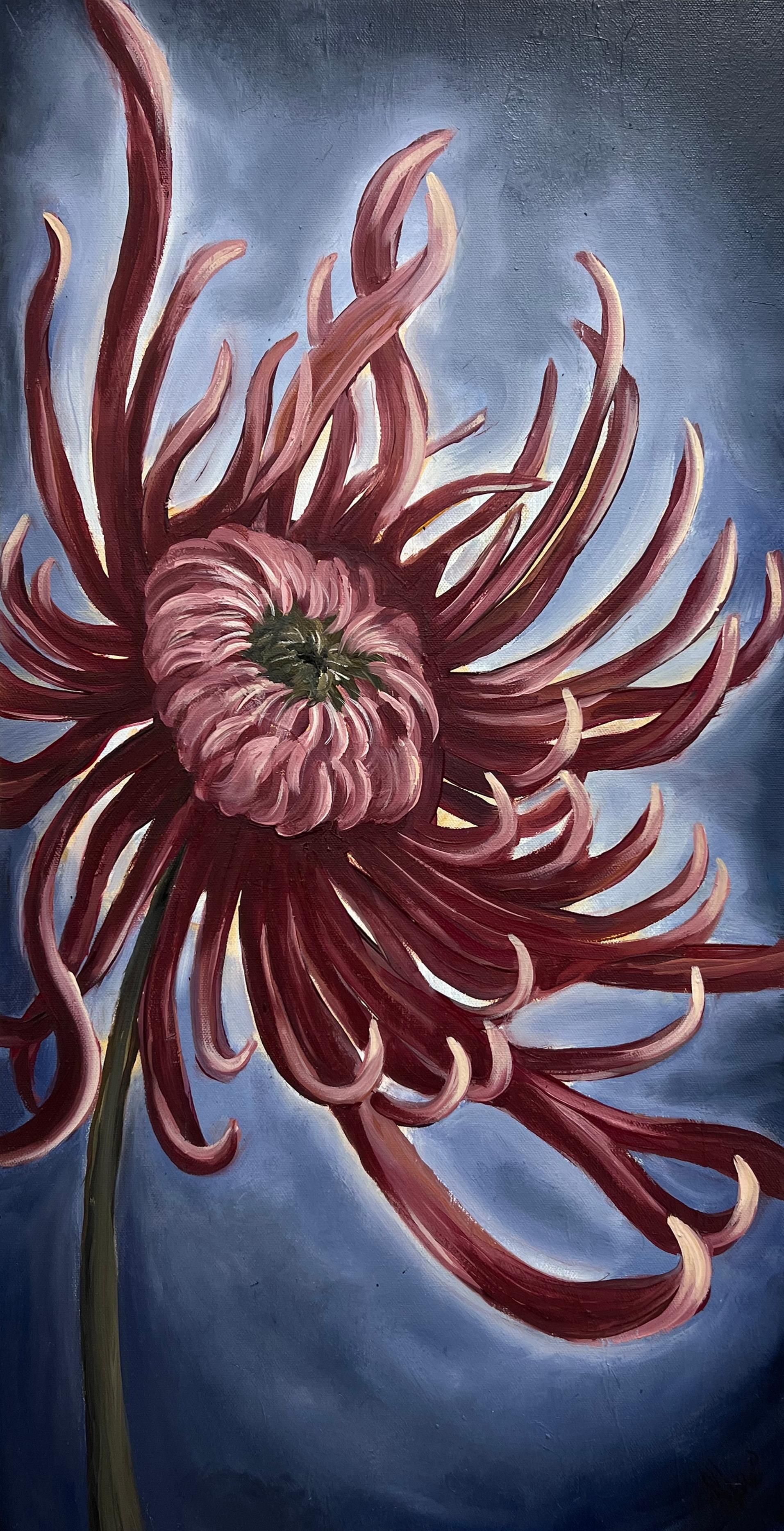 Chrysanthème magenta, peinture à l'huile
