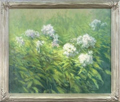 Garden Phlox