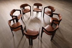 Pamplona Chairs By Augusto Savini For Pozzi, Italy 1960s, Set Of 8