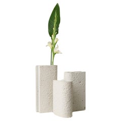 Collection Pampulha, ensemble de vases en béton blanc cassé