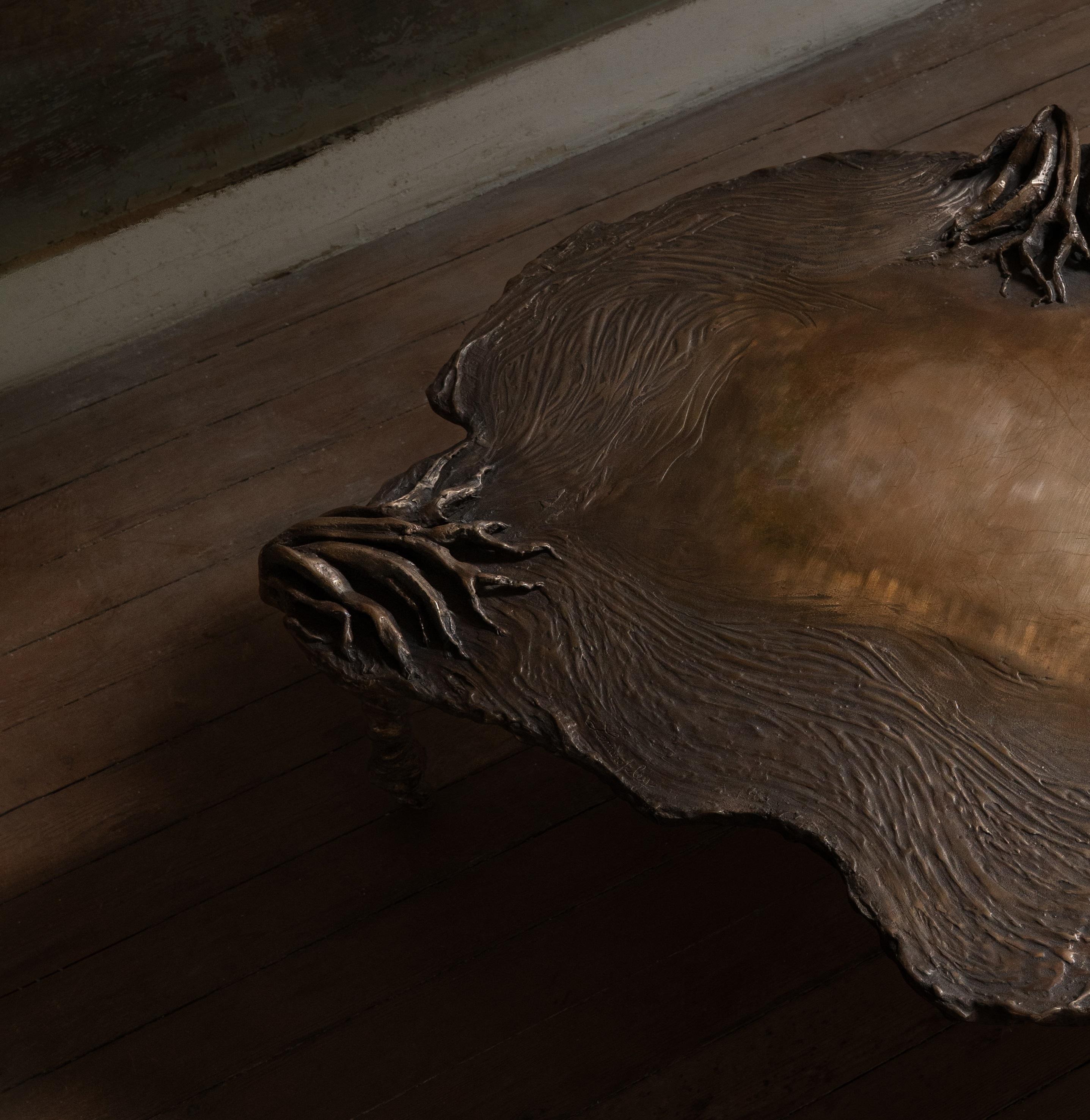 French Pan Bronze Low Decorative Contemporary Coffee Table by Emilie Lemardeley For Sale