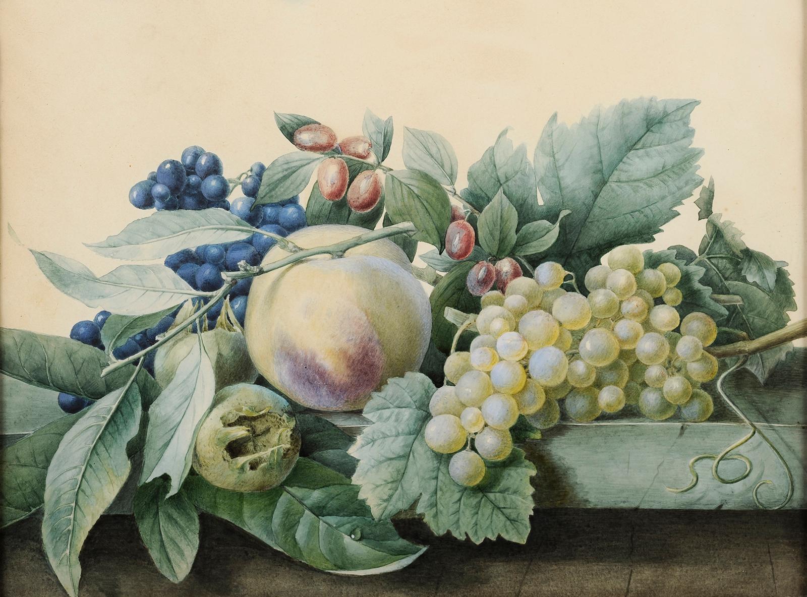 Bodegón de frutas sobre entablamento de mármol - Painting de Pancrace Bessa