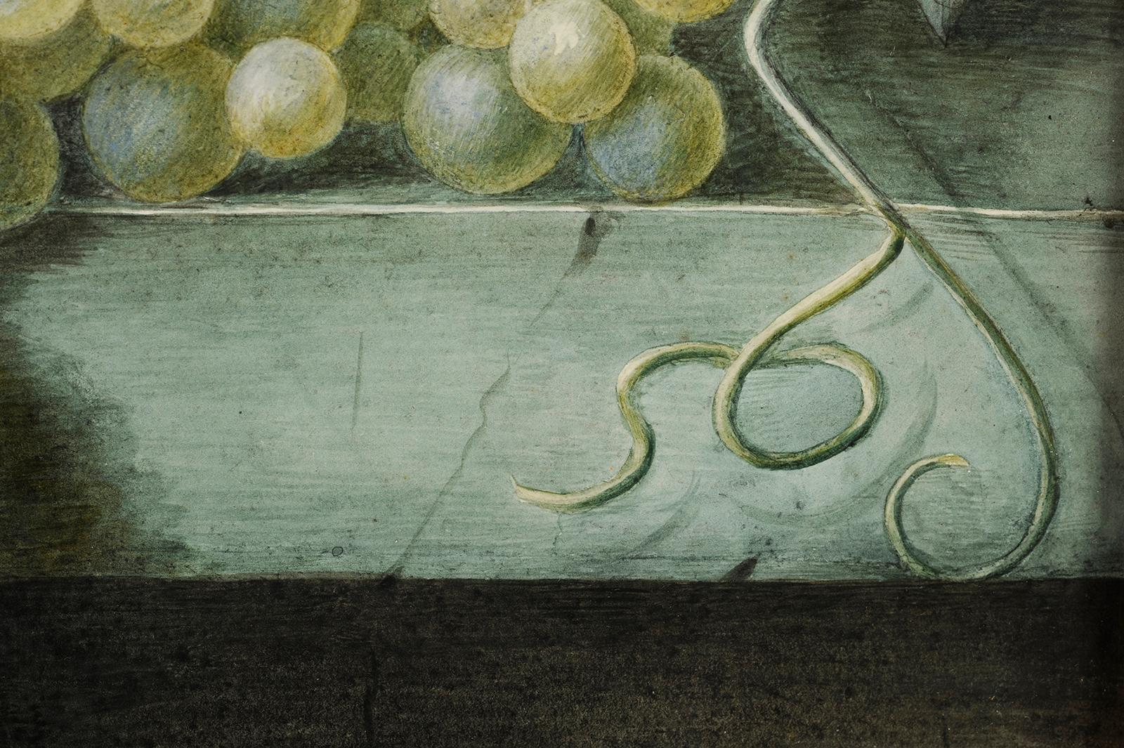 Atribuido a Pancrace BESSA
(1772-1846)
Frutas sobre un entablamento de mármol
Acuarela y grafito sobre papel
H. 31 cm; An. 37 cm