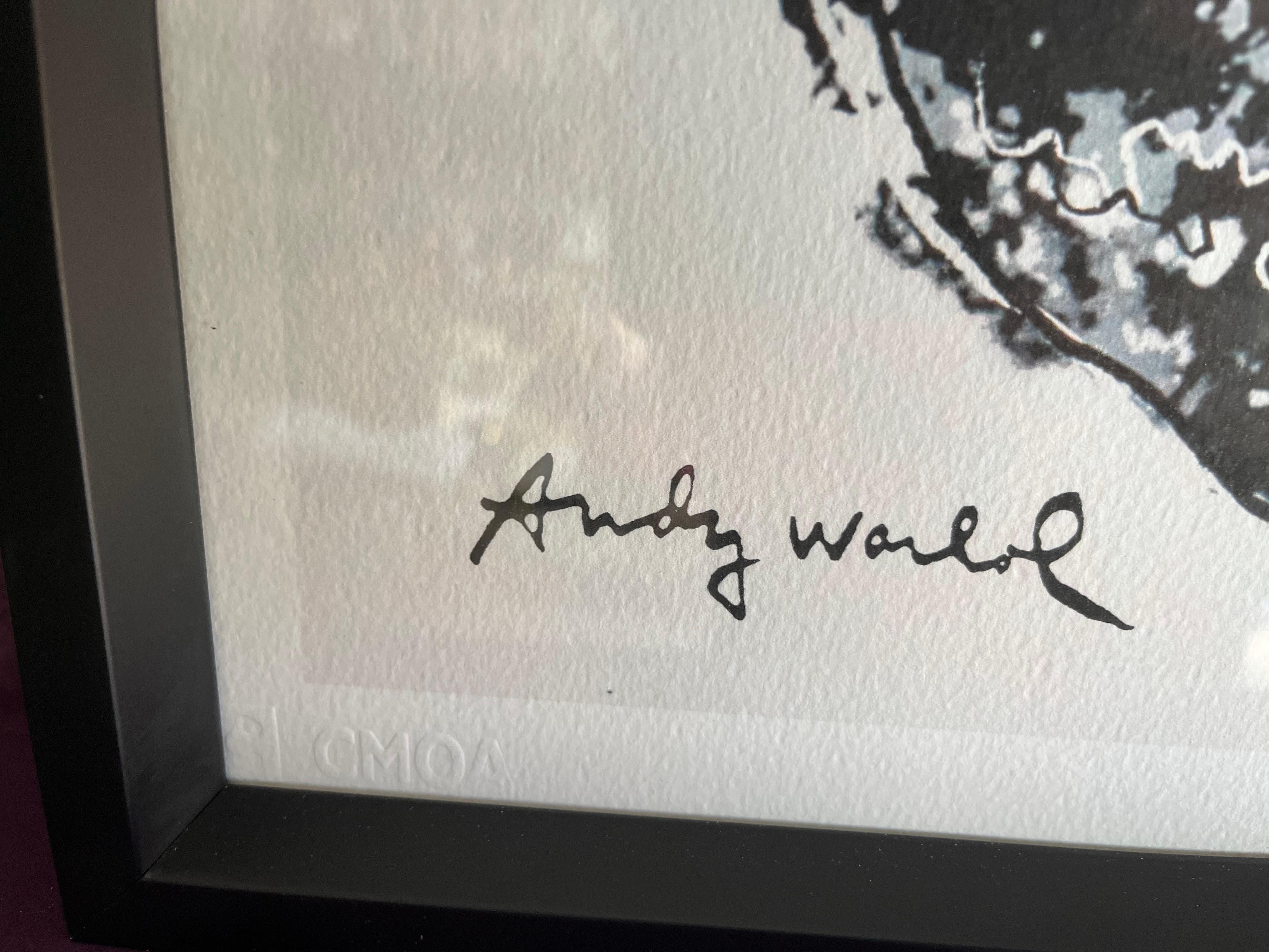 Paper Panda di Andy Warhol edizione limitata con certificato  For Sale