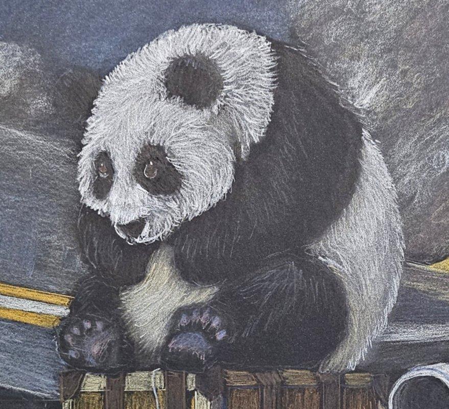 ARTE: Panda sull'asfalto, acquerello d'arte originale VENDITA CHIUSA 
*****AVVISO: IL NOSTRO NEGOZIO 1ST DIBS CHIUDE ALLA FINE DI MAGGIO*****
Questo è un disegno a matita acquerellata su carta di cotone pesante senza acidi. Misura circa 14 x 10