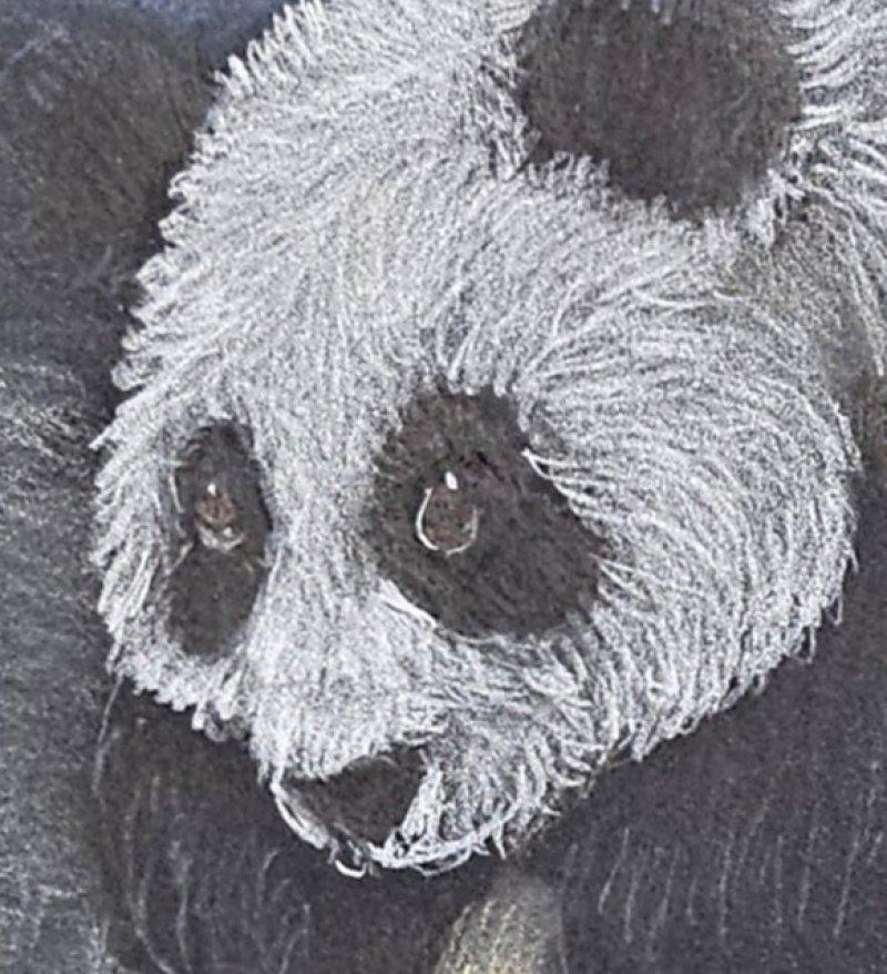 Altro ARTE: Panda sull'asfalto, acquerello d'arte originale VENDITA CHIUSA in vendita
