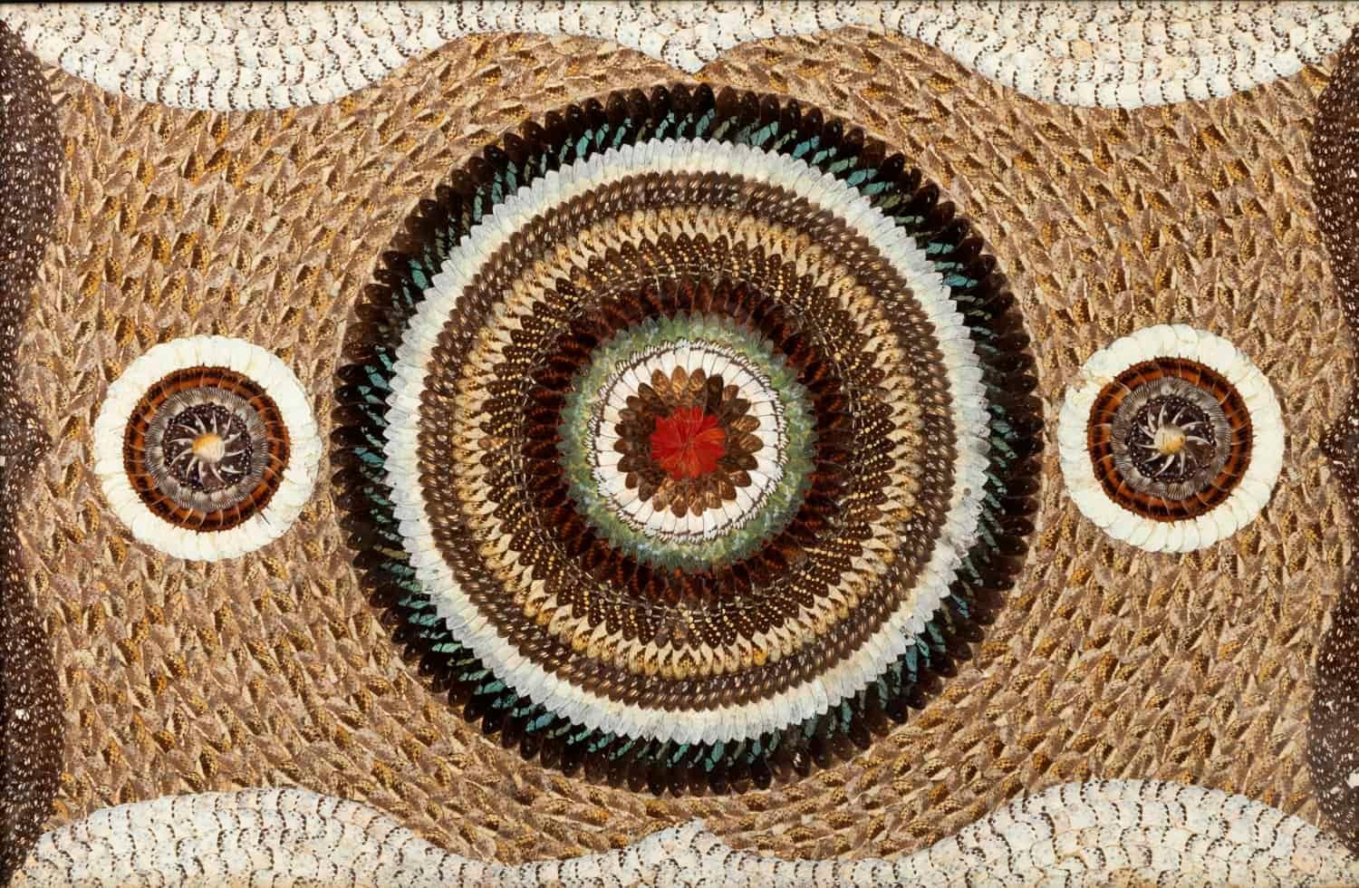 Panel composed by butterflies wings forming three different sizes concentric circles : two smalls in white, beige, brown and orange tones and a large one in blue, white, brown, yellow, beige, green and red tones. They are surrounded by other larger