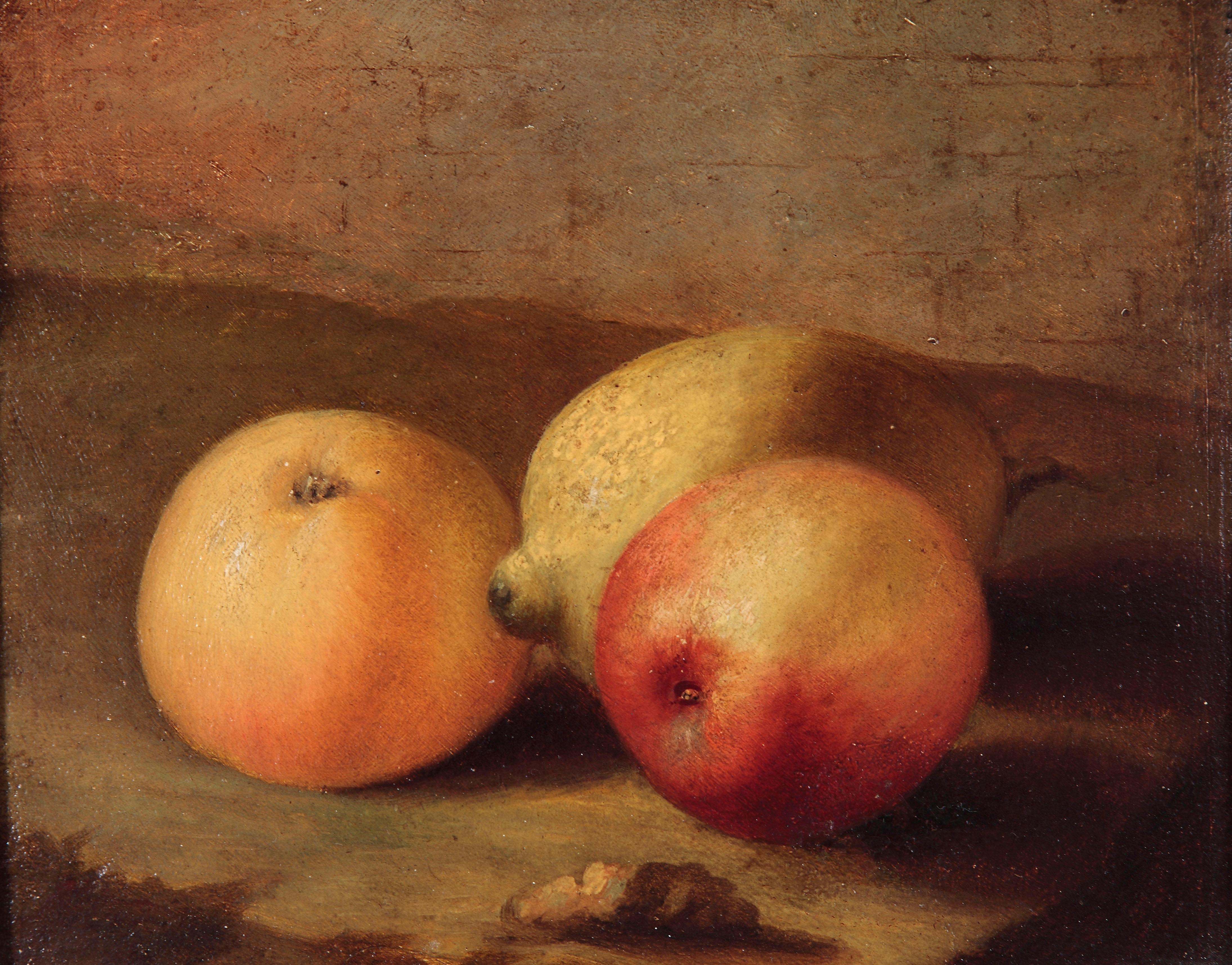 17th Century by Panfilo Nuvolone Still Life Oil on Slate For Sale 1