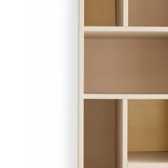 Pangea Large Powder-Pink & Brass Wall Unit