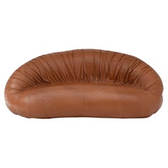 Pangolin Leather 2 Seater di Greg and Roche Dry