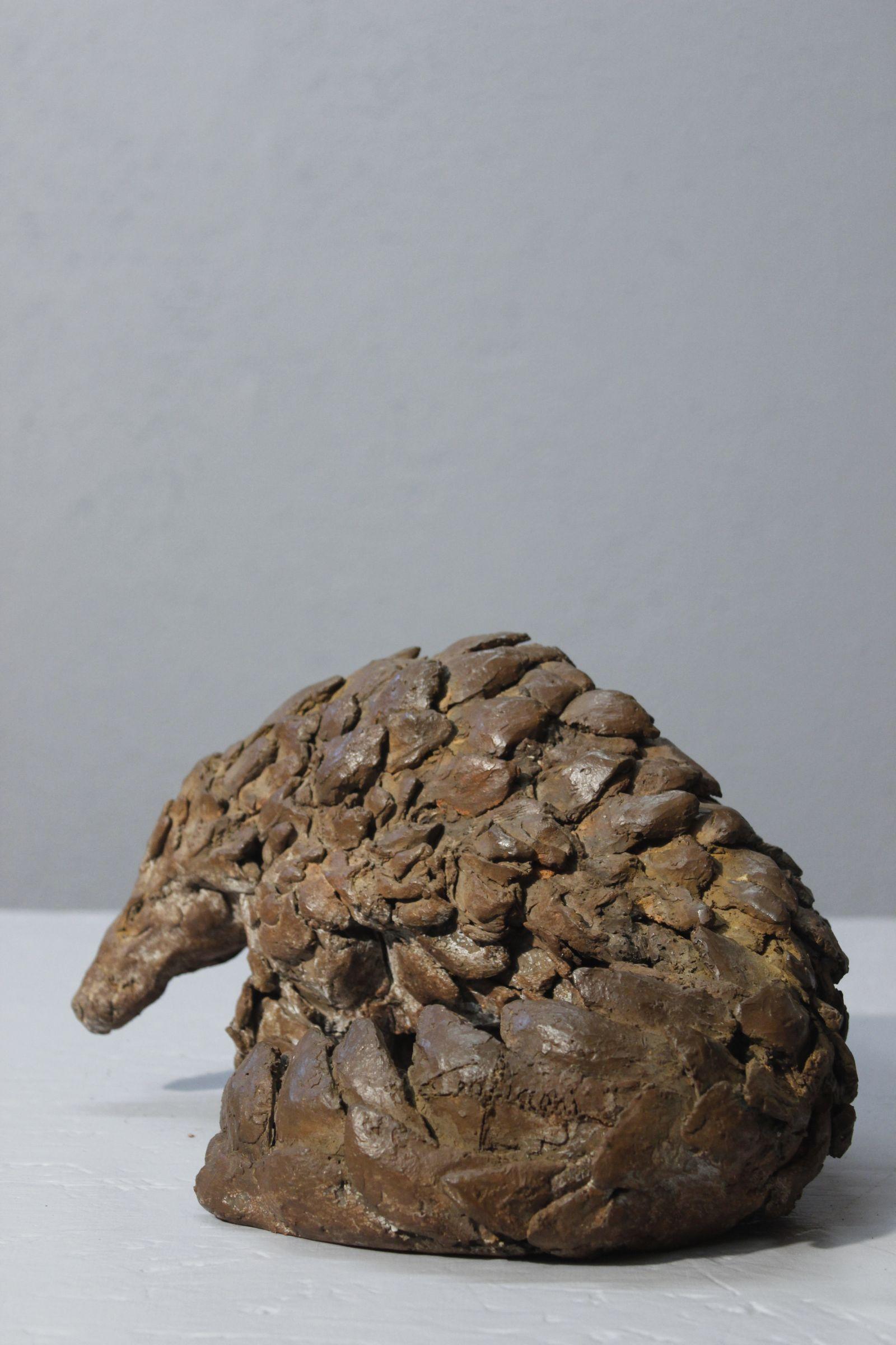 Organic Modern Pangolin sculpture in patinated terracotta by Philippe Conficconi, France 2014 For Sale