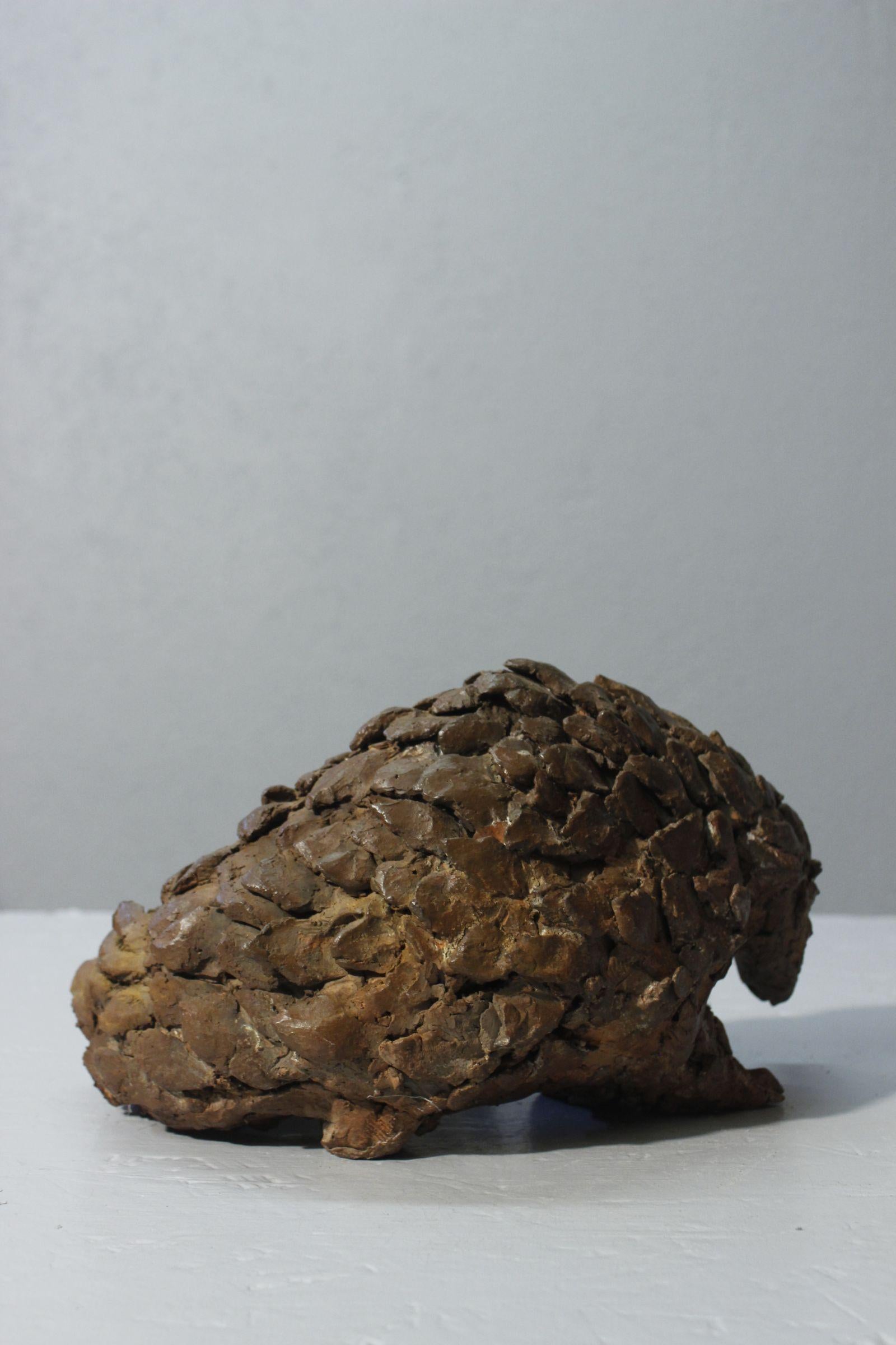 Terracotta Pangolin sculpture in patinated terracotta by Philippe Conficconi, France 2014 For Sale