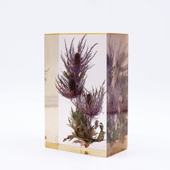 Presse-papiers en résine française "Panicaut des Alpes" de Pierre Bodin - 1980