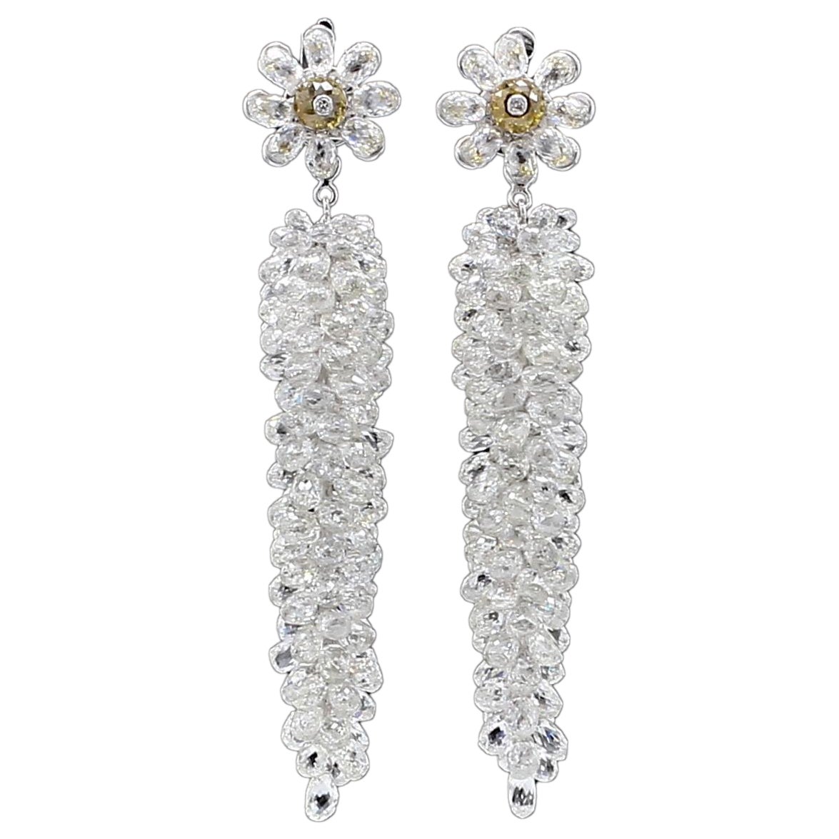 Pendientes de diamantes PANIM 55,72 quilates Grapevine 18 quilates