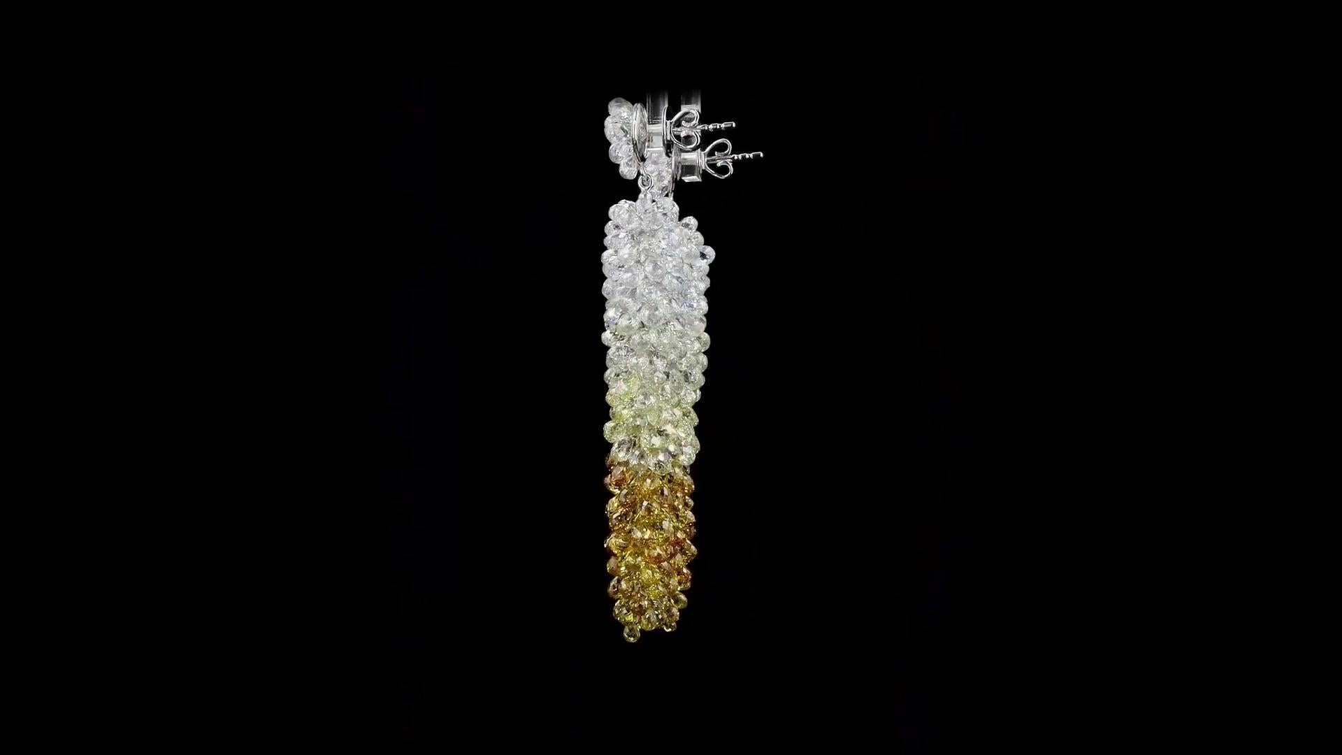 PANIM 61,07 Karat Ausgefallene farbige Diamant- Briolette-Ohrringe aus Trauben im Angebot 5