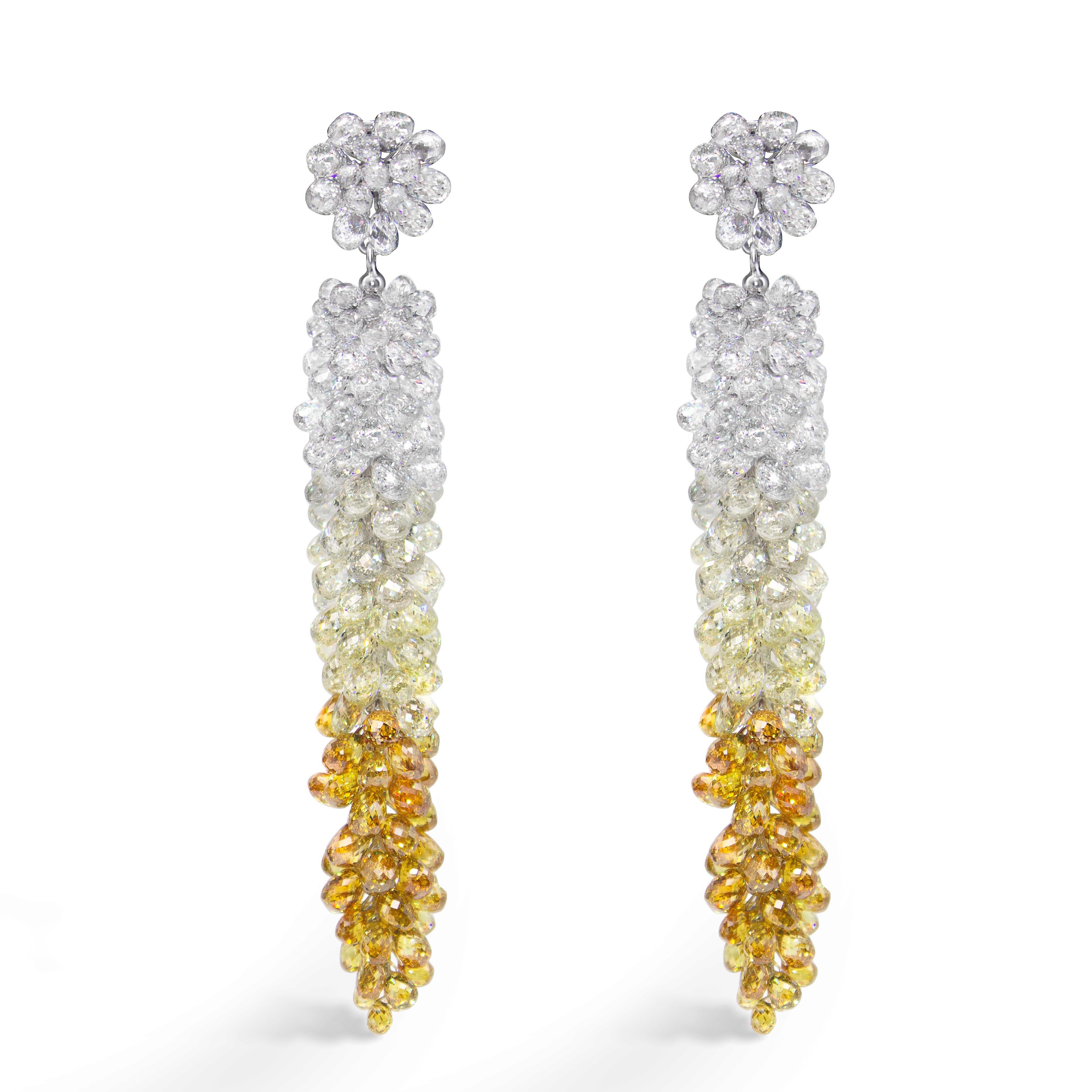 PANIM 61,07 Karat Ausgefallene farbige Diamant- Briolette-Ohrringe aus Trauben im Angebot 6
