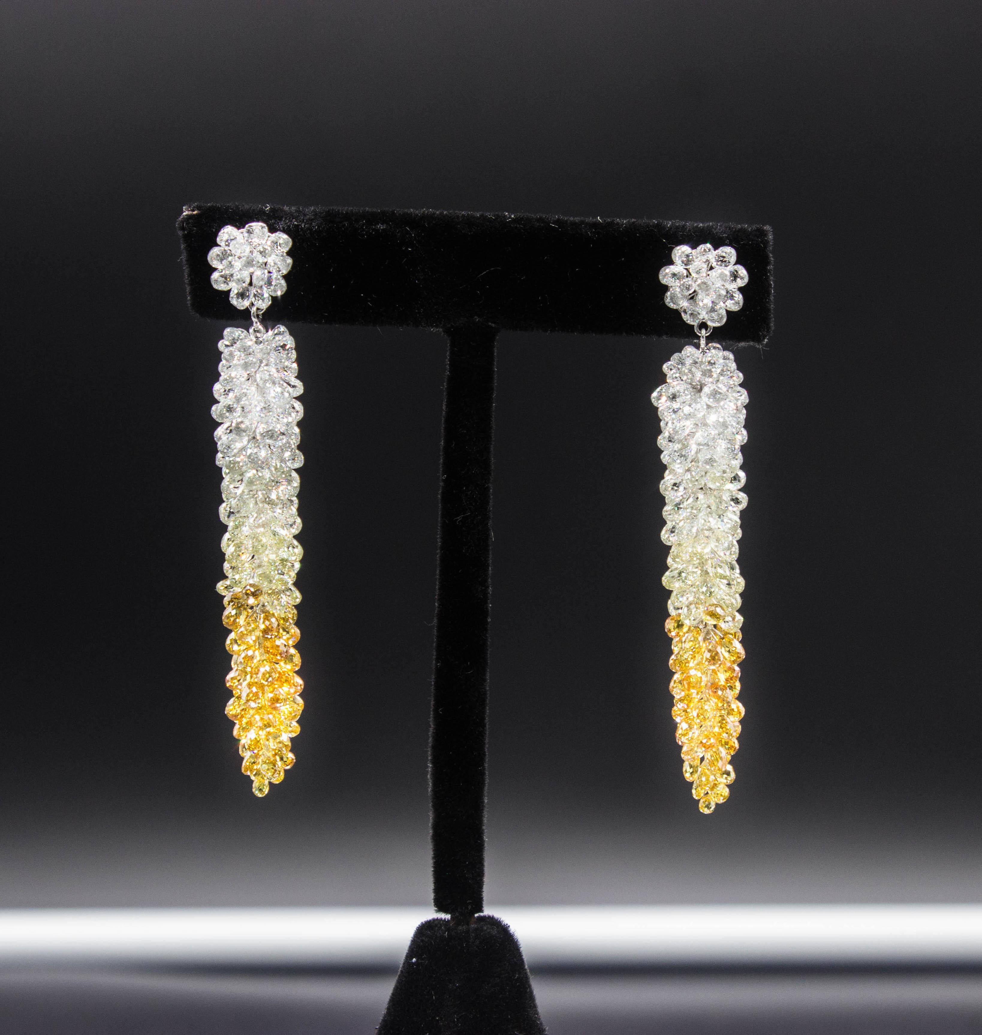 Modern PANIM 61.07 Carat Fancy Color Diamond Briolette Grapevine Earrings For Sale