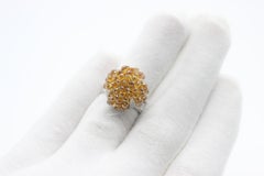 PANIM Natural Fancy Color Diamond Briolette Cluster Ring