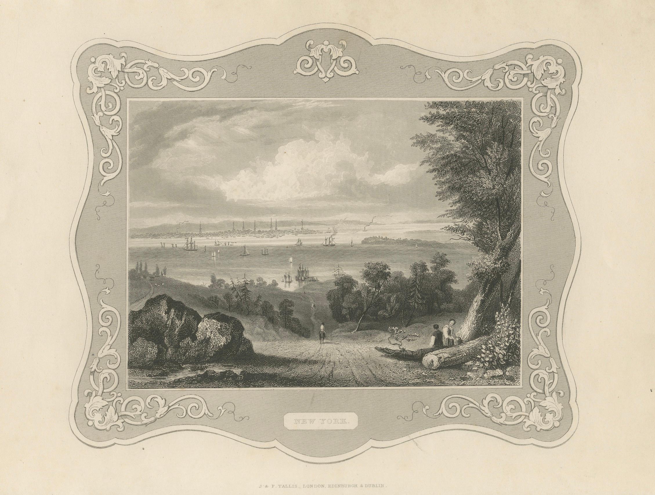 Carta Vista panoramica di New York - Incisione antica, 1850 ca. in vendita