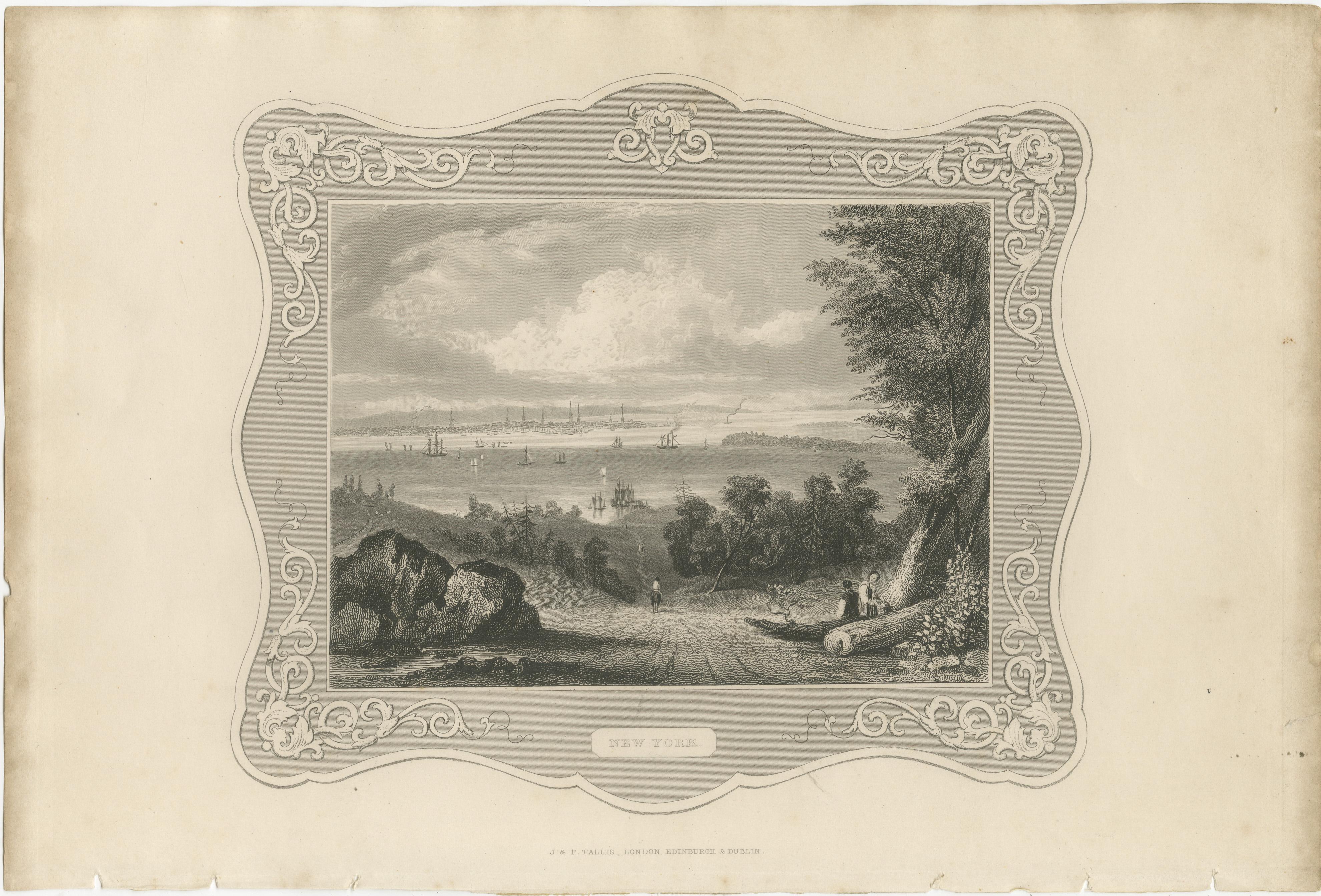 Vista panoramica di New York - Incisione antica, 1850 ca. in vendita 1