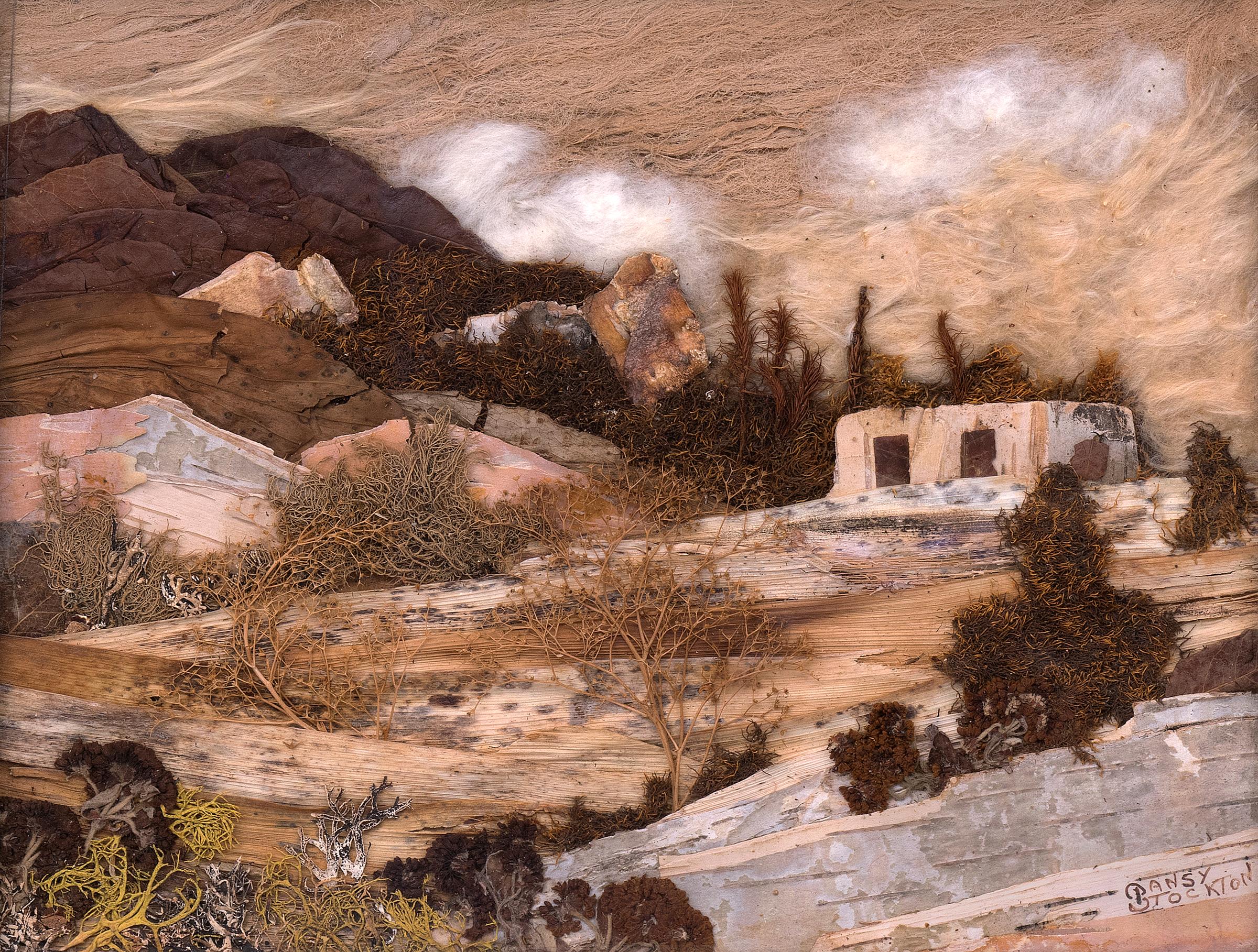 Hillside, New Mexico, Landscape with Adobe, Botanical Mixed Media Assemblage - Painting by Pansy Stockton