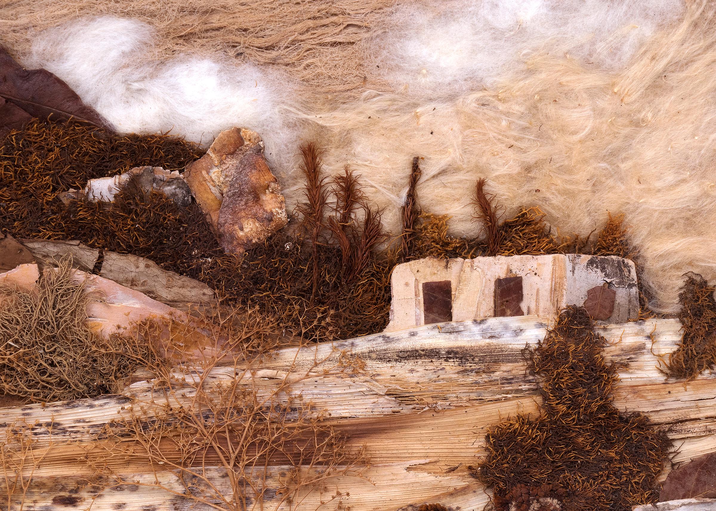 Hillside, New Mexico, Landscape with Adobe, Botanical Mixed Media Assemblage - Brown Landscape Painting by Pansy Stockton